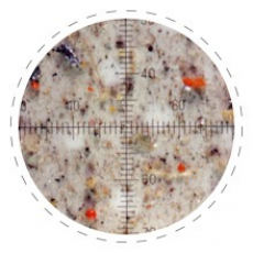 gallery/n-particulas