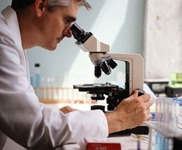 gallery/totaloil_1 (1)